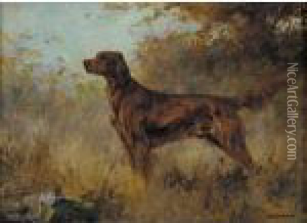 A Red Setter Oil Painting - Percival Leonard Rosseau