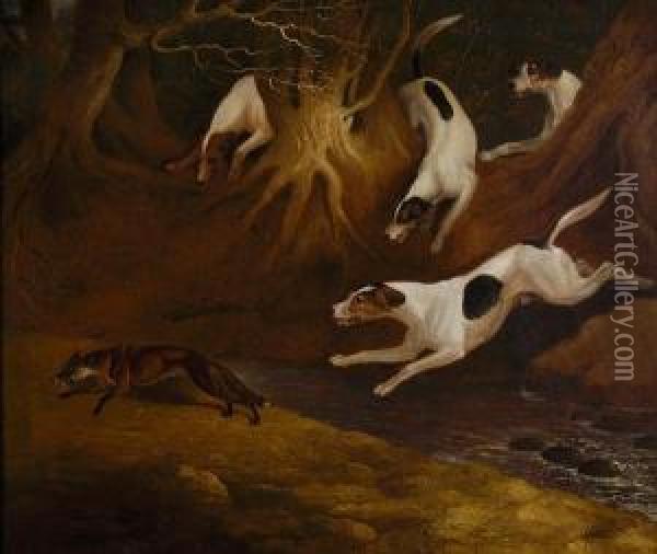 Fox Hounds In A Chase Oil Painting - Edwin, Beccles Of Cooper
