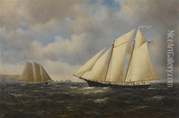 Emilie Pilot Ship, No. 3 Oil Painting - William Alexander Coulter