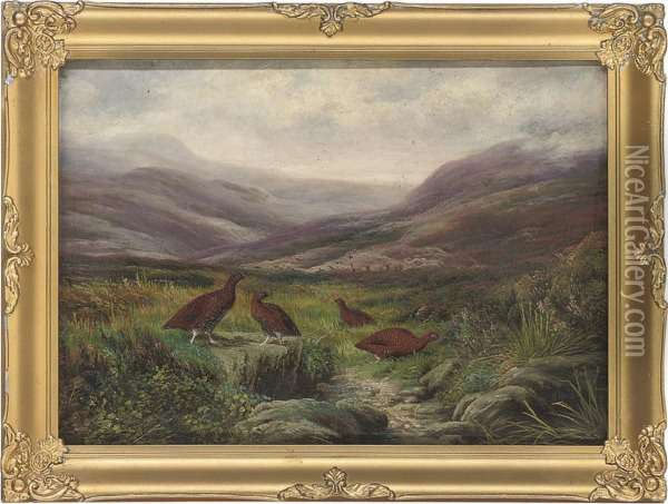 Grouse In A Highland Landscape Oil Painting - Benjamin, Ben Hold