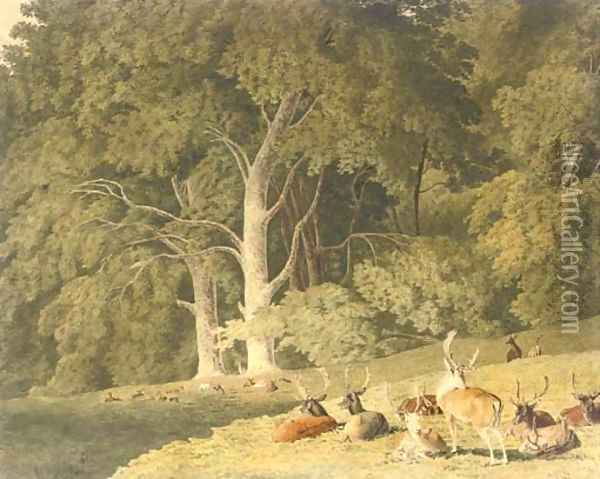 A herd of deer resting in a glade Oil Painting - Robert Hills