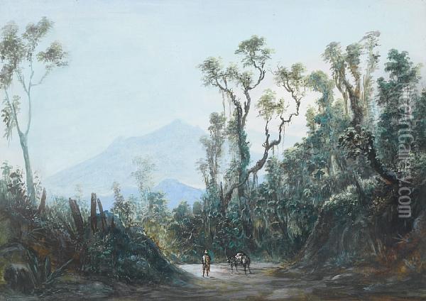 Brazilian Landscape Oil Painting - Friedrich Hagedorn