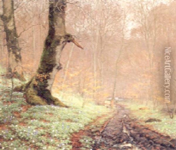 The Bluebell Wood Oil Painting - Peter Johan Valdemar Busch