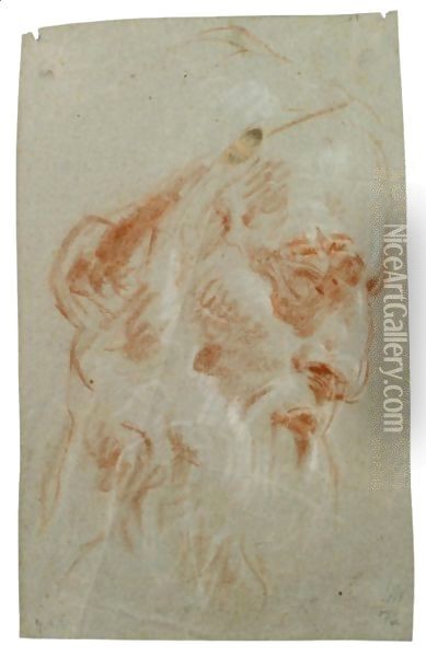 Testa Di Vecchio Barbuto Rivolta Verso Destra Oil Painting - Giovanni Battista Tiepolo
