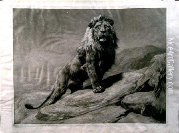 A Lion Perched Upon A Rock Oil Painting - Herbert Thomas Dicksee