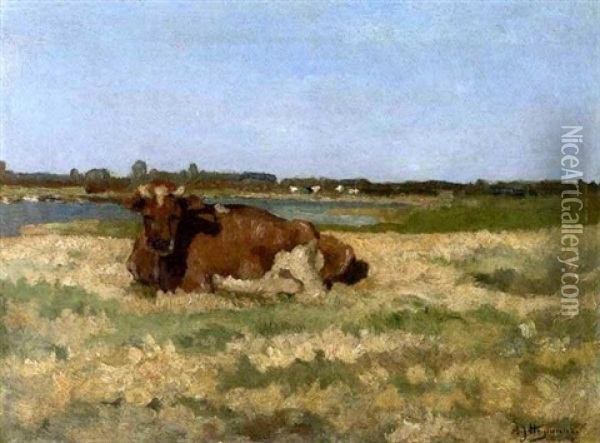 Liegende Kuh An Sommerlichem Kanal Oil Painting - Adriaan Josef Heymans