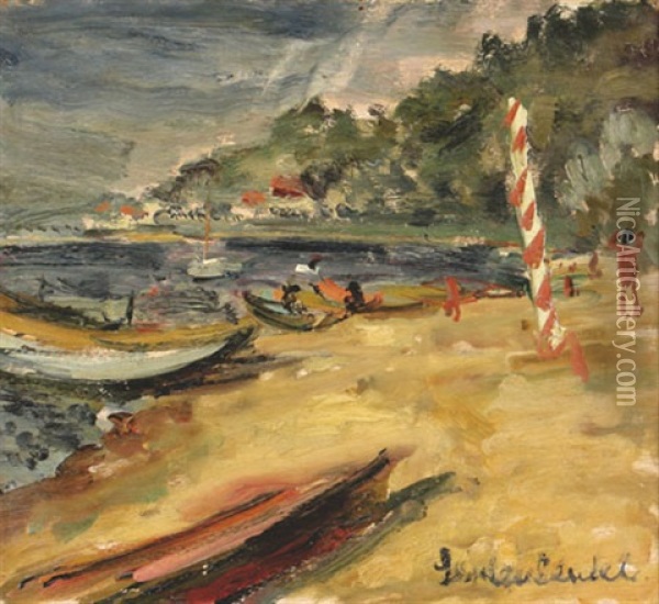 The Sea Shore Oil Painting - Efraim Seidenbeutel
