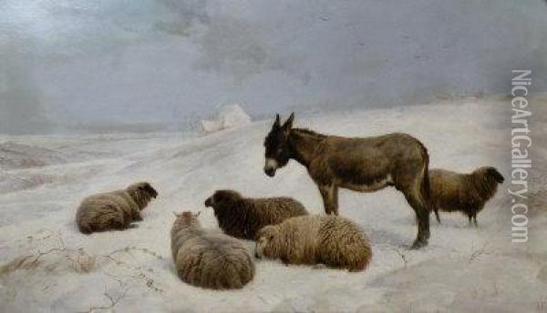 Sheep And A Donkey In A Winter Landscape Oil Painting - Charles Jones
