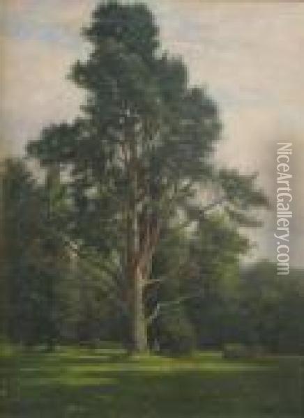 Figure Seated Beneath A Tree In Parkland Signed And Dated 1906 30 X 22in Oil Painting - Frederik Golden Short