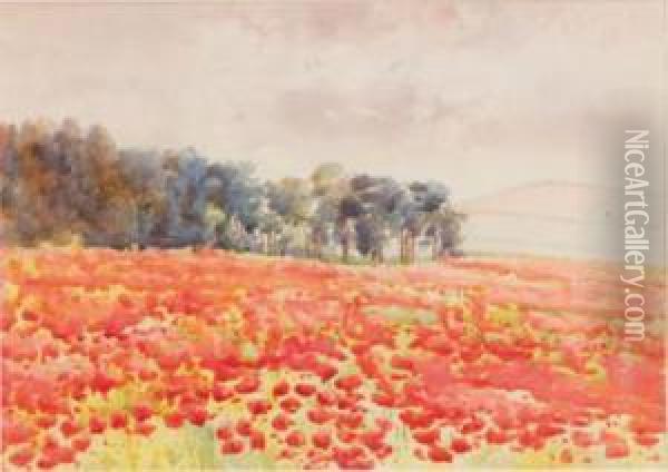Poppy Field Oil Painting - Margaret Olrog Stoddart
