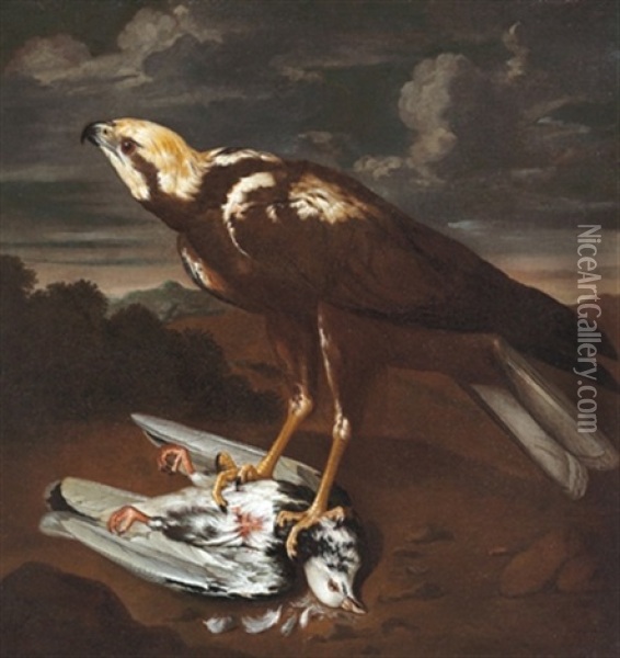 Bildnis Eines Falken In Einer Landschaft Oil Painting - Philipp Ferdinand de Hamilton