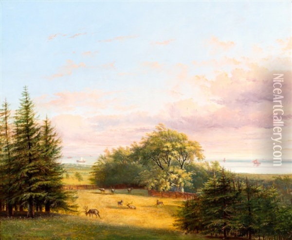 Landschap Met Herten In Een Weide Oil Painting - Pieter George Westenberg