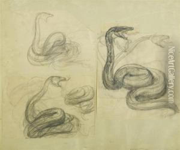 Lot Of Three Sheets With Studies Of Snakes Oil Painting - Paul Albert Besnard