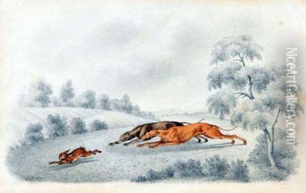 Greyhounds V Hare Oil Painting - Henry Thomas Alken