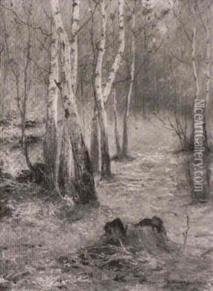 Birkenwaldchen Oil Painting - Vladimir Egorovich Makovsky