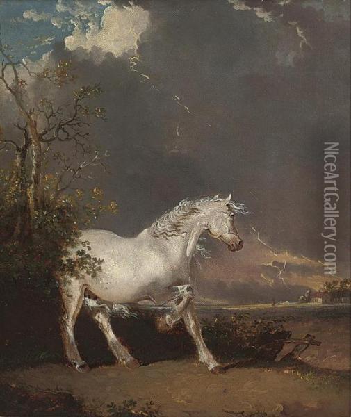A Startled Grey Stallion In A Landscape Oil Painting - James Ward