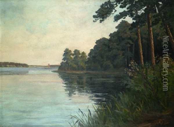 Abendstimmung Uber Einem Markischen See Oil Painting - Rudolf Hellgrewe