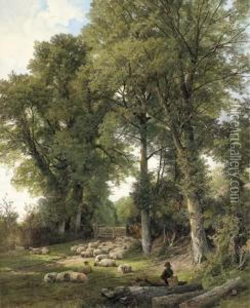 Sheep Resting In A Woodland Glade, A Traveller Looking On Oil Painting - Frederick William Hulme