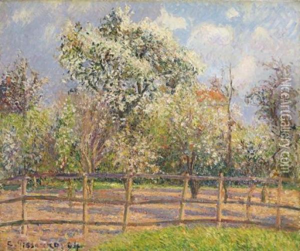 Poiriers En Fleur, Eragny Oil Painting - Camille Pissarro