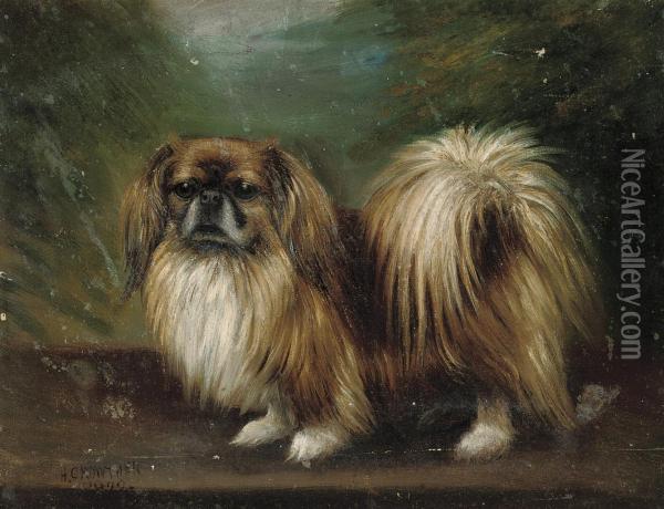 A Pekinese Oil Painting - Henry Crowther
