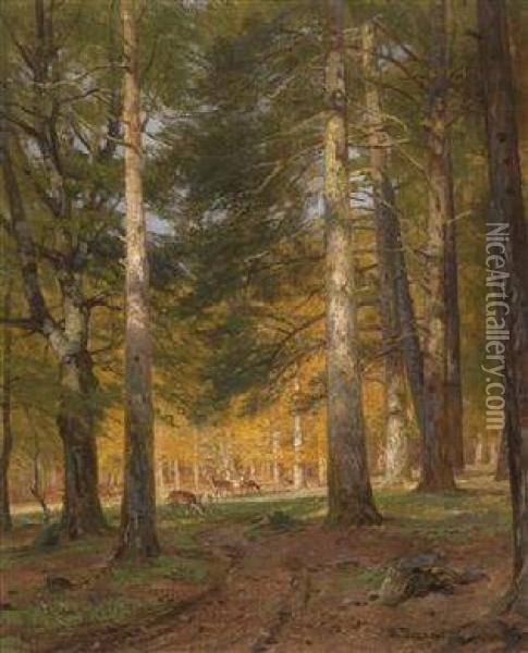 The Lainzer Tiergarten Oil Painting - Hugo Darnaut