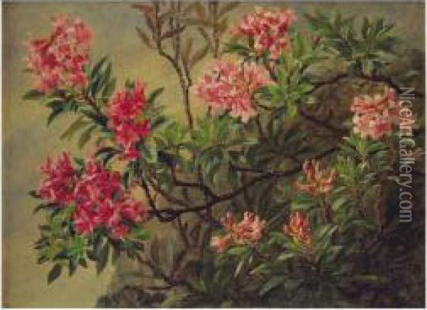 Oleander Oil Painting - Anthonie, Anthonore Christensen