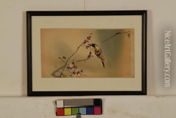 Songbird On A Prunus Branch Oil Painting - Ohara Koson