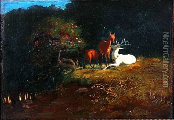 Lysning I En Skov Med Hjorte Oil Painting - Johan Thomas Lundbye