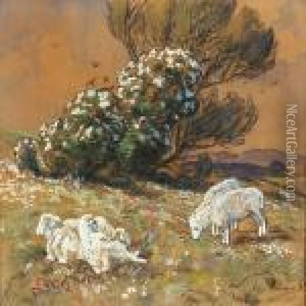 Grazing Sheep Oil Painting - Viggo Christian Frederick Pedersen