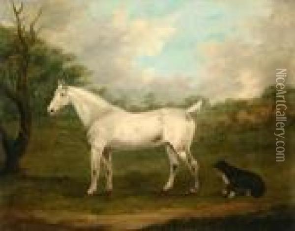 Dappled Grey Hunter With Sheep Dog In A Field Oil Painting - J. Francis Sartorius