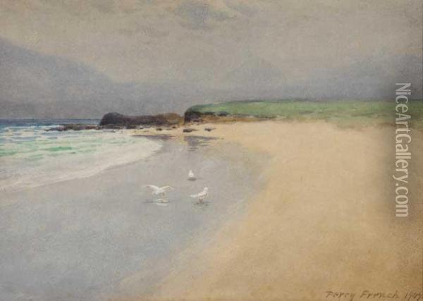 Renvyle, County Galway Oil Painting - William Percy French