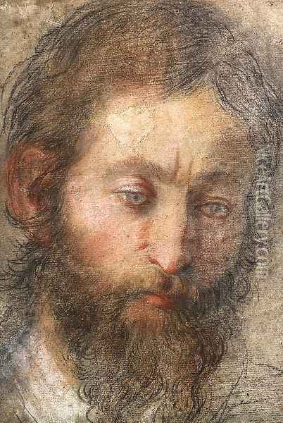 The head of a man looking down Oil Painting - Federico Fiori Barocci