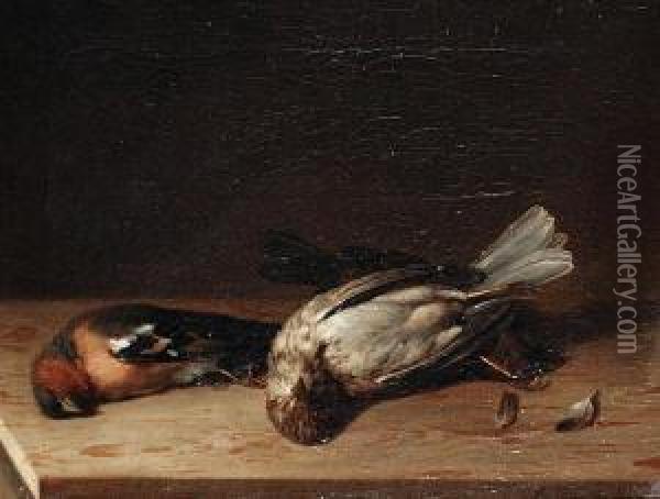 Still Lifes Of Fallen Birds Oil Painting - Joaquin Siguenza