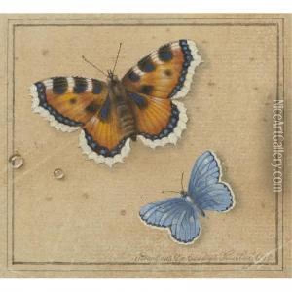 Butterflies Oil Painting - Feodor Petrovitch Tolstoi