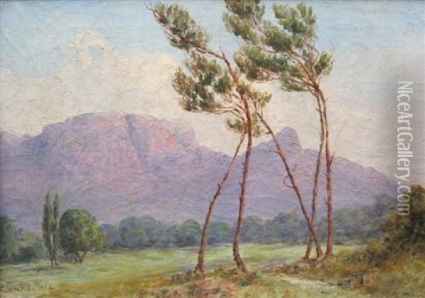 Paysage Aux Pins Oil Painting - Edward Clark Churchill Mace