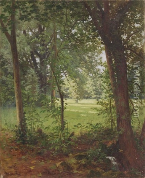 Waldquelle Im Fruhjahr Oil Painting - Henri Biva