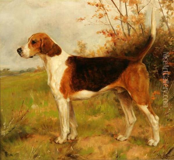 The Oakley Dandy Oil Painting - Thomas Blinks