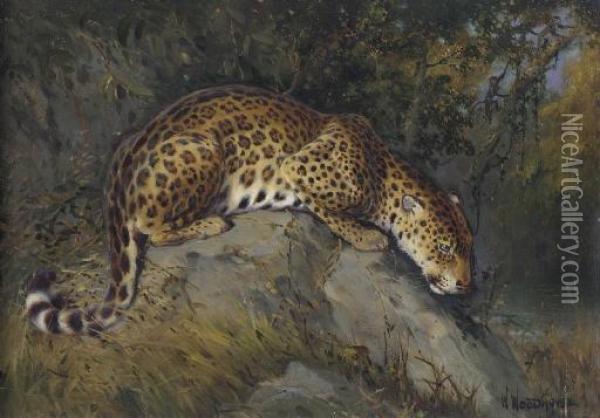 Anticipation, Leopard On A Rock Oil Painting - William Arnold Woodhouse