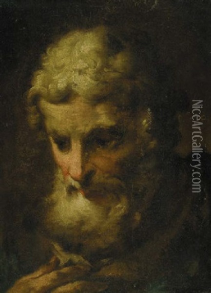 The Head Of An Old Man Oil Painting - Ubaldo Gandolfi