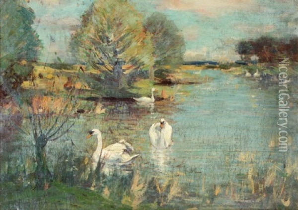 The Swan Lake Oil Painting - Sir David Murray