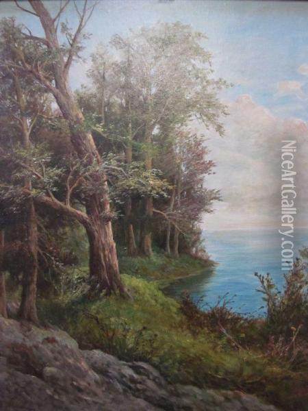 Landscape With A Lake Oil Painting - Alfredo De Simone