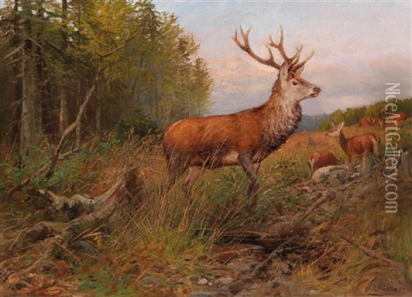 Red Deer On The Lookout Oil Painting - Albert Ernst Muehlig
