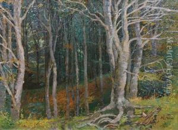 View Into A Forest Oil Painting - Alexander Eckener