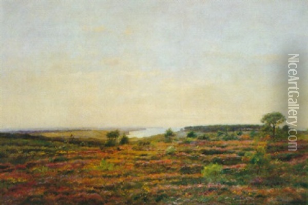 La Lande De Bruyeres Sur La Cote Oil Painting - Pierre Emmanuel Eugene Damoye