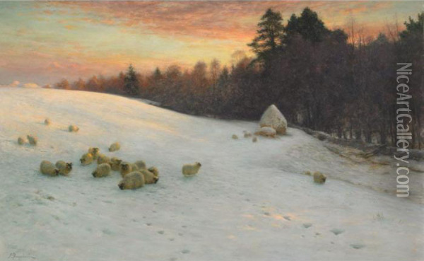 Sheep In Deep Snow At Sunset Oil Painting - Joseph Farquharson