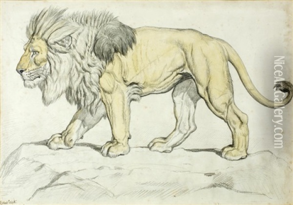 Study Of A Lion On Rocky Ground Oil Painting - Ernest Henri Griset
