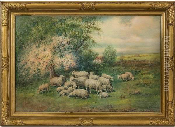 Sheep Oil Painting - Mary Ella Williams Dignam