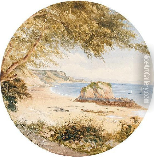 A View Of The Devon Coastline Oil Painting - William Wyld