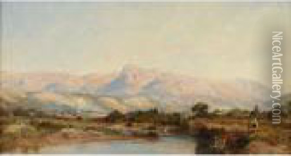Paysage Du Midi Oil Painting - Felix Ziem