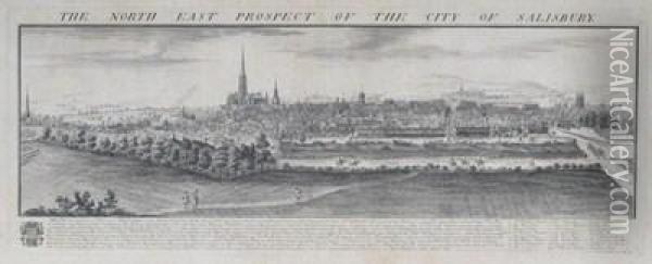 The North East Prospect Of Thecity Of Salisbury Oil Painting - Nathaniel and Samuel Buck